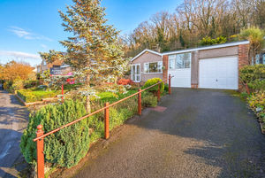 Photo 4- click for photo gallery